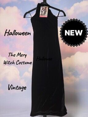 New The Merry Witch Halloween costume dress Retired Women 0/1